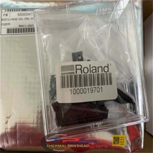 Original Roland 6000004770...